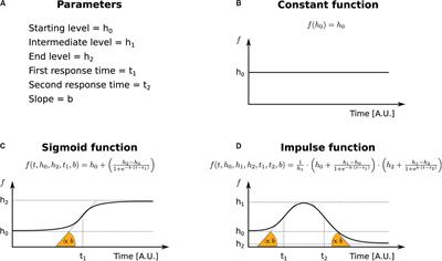 INSPEcT-GUI Reveals the Impact of the Kinetic Rates of RNA Synthesis, Processing, and Degradation, on Premature and Mature RNA Species